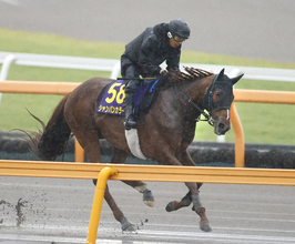 【安田記念】シャンパンカラーは大雨の中を力強く登坂　田中剛調教師「雨が味方になってくれれば」