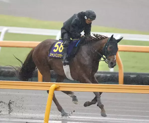【安田記念】シャンパンカラーは大雨の中を力強く登坂　田中剛調教師「雨が味方になってくれれば」
