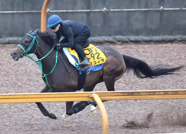【小倉記念・データ埋蔵金】「０・５キロのハンデの馬は強い」の定説に要注目　前走芝２０００メートルから転戦の牝馬が波乱の目