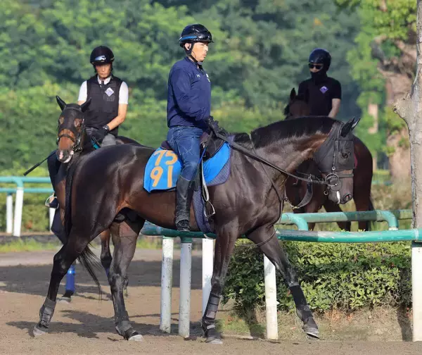 土曜新潟競馬の注目激走馬…新潟７Ｒ柳都ステークス
