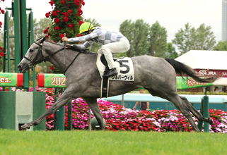 【札幌５Ｒ・２歳新馬】速い時計出さずに完勝！「めちゃくちゃ動く」吉田隼人騎手絶賛のシルバーウィルが逃げ切りＶ　