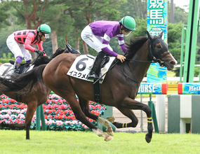 【新潟２Ｒ・２歳新馬】イスクメルが上がり最速で差し切り勝ち　田山旺佑騎手「もっともっと良くなる馬」