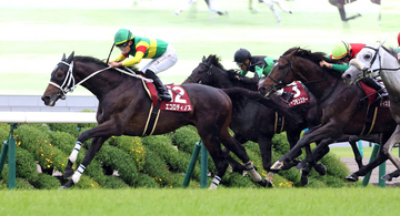 【京都大賞典・レースメモ】キタサンブラック産駒は延べ４頭の出走で初勝利　
