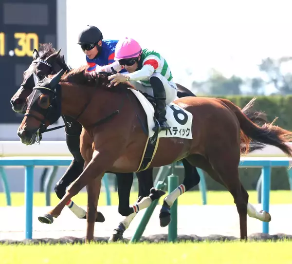 【京都２Ｒ】バティックが２歳ＪＲＡレコードで勝利　ミッキーアイルの記録を１３年ぶりに更新　西村淳也騎手「能力のある馬」