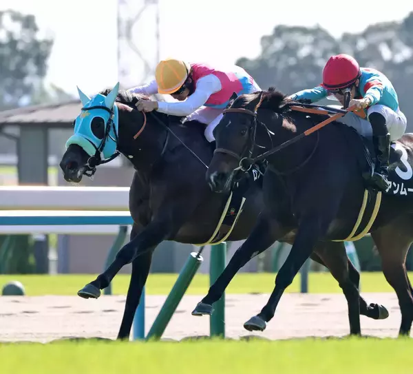 【京都８Ｒ・もみじＳ】鼻、鼻差でタイム差なしの大接戦を制したのはロンドンガーズ　松山弘平騎手「着差以上に強かったと思います」