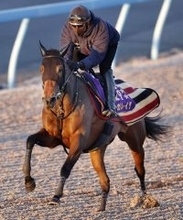 【有馬記念ファン投票】レガレイラが史上最多の６１万２７７１票でトップ！　牝馬初の連覇を狙う