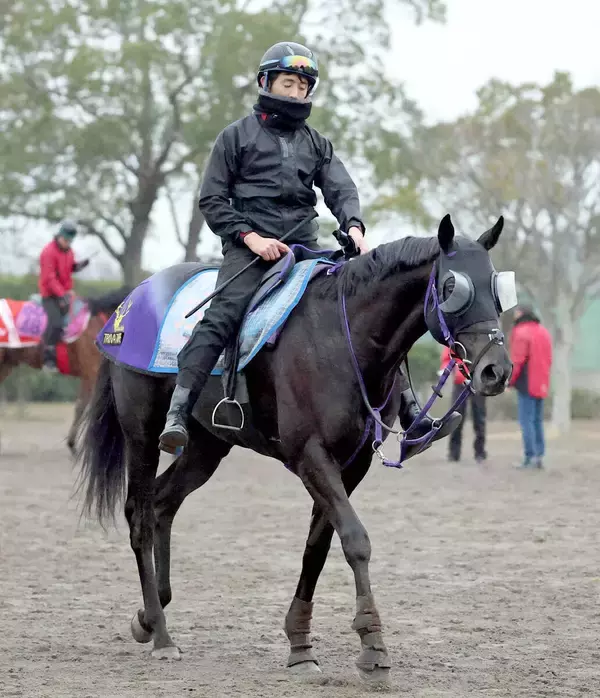 【京都金杯】１週前から出来は急上昇のトロヴァトーレ　鹿戸調教師「グンと良くなっている感じはある」
