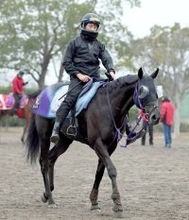 【京都金杯】１週前から出来は急上昇のトロヴァトーレ　鹿戸調教師「グンと良くなっている感じはある」