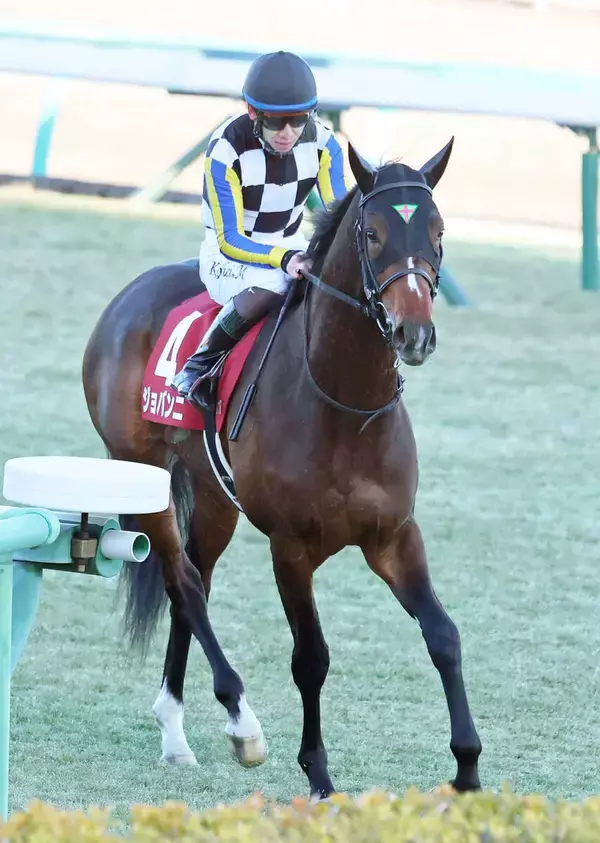 【アメリカＪＣＣ】道中のポジションが…２番人気のジョバンニ７着　松山弘平騎手「最後は来ているだけに」