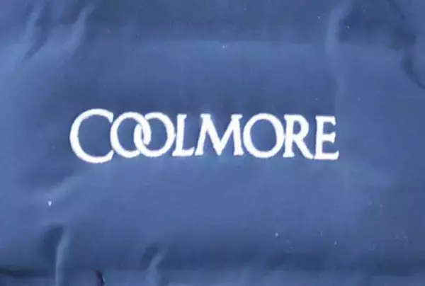 クールモアスタッドが本格的な日本参戦について言及「大きな戦略計画もありません」　ＪＲＡの馬主免許を取得も