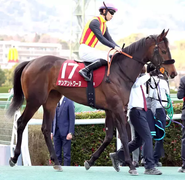 【報知杯ＦＲ】荻野極騎手＆義父・鹿戸調教師のコンビで挑んだサンアントワーヌは２着　「勝ち馬とは枠順の差」と鞍上