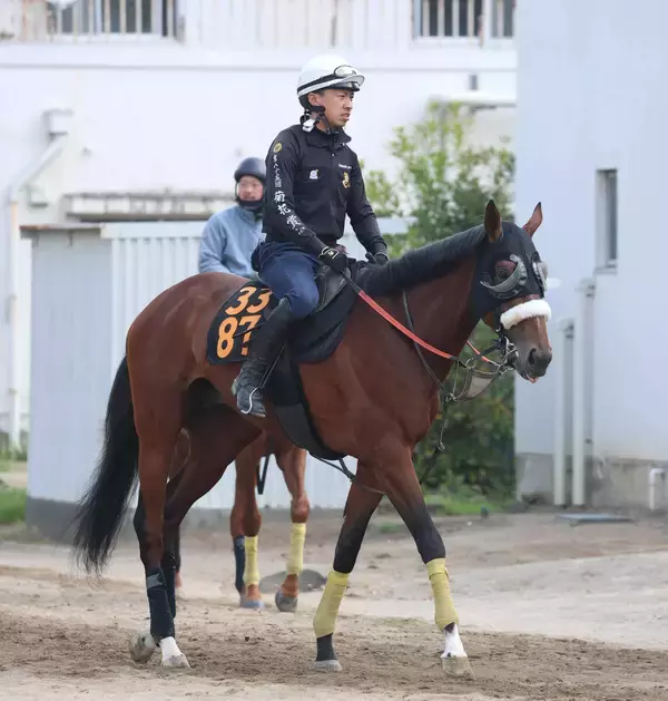 【青葉賞】武井調教師「ルメール騎手が東京で距離はもっとあった方がいいと言っていた」　タイダルロックに激走気配