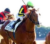 「「ダートでも芝でも変わりません」ルメール騎手は首かしげる　初投入の砂でも１番人気で勝ち星つかめず…超良血グランマエストロは６着」の画像1