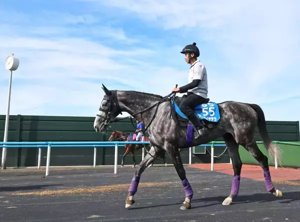 【札幌記念】凱旋門賞挑戦のアドマイヤテラは休み明けの不安なし　陣営は距離について「多少は短いけど…」