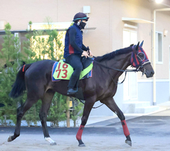 【今週のトク注新馬】おじに短距離王キンシャサノキセキを持つ良血馬マルスレジーナ「前向きな気性で初戦から力を出せるタイプ」