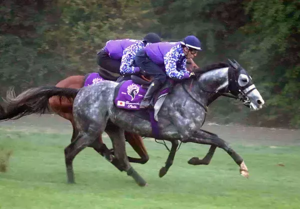 【凱旋門賞】アドマイヤテラがＣデムーロ騎手を背に併せ馬で躍動　友道調教師も笑顔「息の入りもよかった」