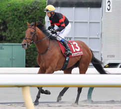 【注目馬動向】ホウオウビスケッツが天皇賞・秋に３年連続の出走へ　鞍上は引き続き岩田康誠騎手