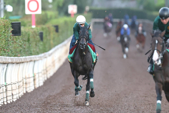 【秋華賞】「スターホースになっていけるような資質を持った馬」モンローウォーク最後の１冠へ坂路楽々５３秒２