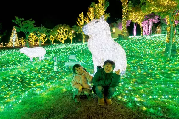 「堺・緑のミュージアム　ハーベストの丘」で約１００万球のイルミネーション　来園者１万５０００人突破