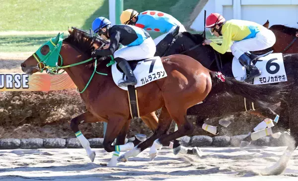 【中山３Ｒ・３歳新馬】ガムラスタンが差し切ってデビュー勝ち　横山琉人騎手「初戦としてはすごくいい内容」