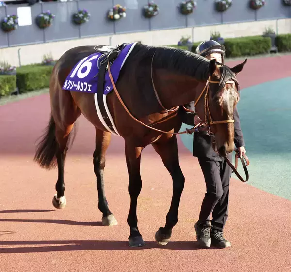 ルクソールカフェがサウジＣの招待を受諾　昨年のケンタッキーダービー以来２度目の海外挑戦