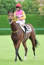 【注目馬動向】宮本厩舎の期待馬エチゴドラゴンは幸英明騎手との初コンビで若葉Ｓへ　宮本調教師「皐月賞への権利を取りたい」