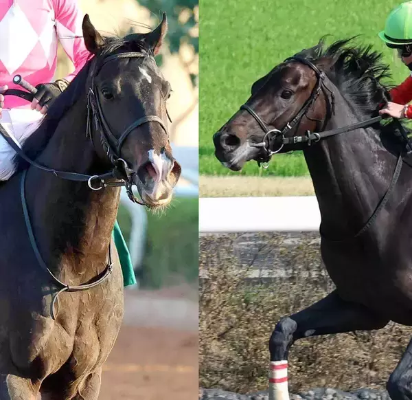 ダノンバーボン＆ワンダーディーンが挑むケンタッキーダービーの枠順が確定！　１番人気が予想されるレネゲイドは１番ゲート