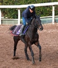 【平安Ｓ・松ケ下の特注馬】ロードクロンヌがコーナー４つの舞台で巻き返す　ここでは主役を張れる一頭