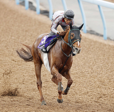 【安田記念・浅子の特注馬】昨年は大出遅れも見せ場つくったシャンパンカラー　東京マイルは狙える舞台