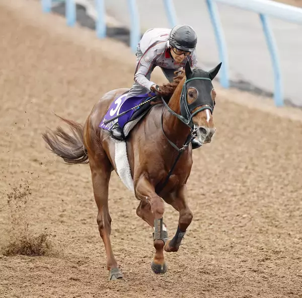 【安田記念・浅子の特注馬】昨年は大出遅れも見せ場つくったシャンパンカラー　東京マイルは狙える舞台