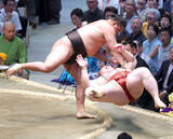 「【大相撲】横綱・豊昇龍が連勝スタート　隆の勝を豪快にすくい投げ　横綱初優勝目指す」の画像1