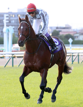 【セレクトセール２０２６】ドウデュース初年度産駒が登場！９６００万円で落札された牡馬は友道厩舎へ　「似ている」　