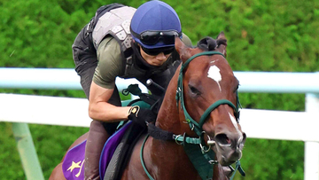 【キーンランドＣ・山下の特注馬】ベストの条件！パンジャタワーが連覇で貫禄の違いを見せる　