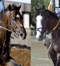 【ジャックルマロワ賞】日本馬２頭は歴史に名を刻めず　武豊騎手のシックスペンス、シュトラウスともに敗れる