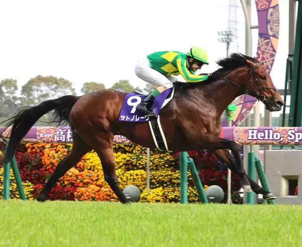 ２５、２６年高松宮記念を連覇したサトノレーヴが競走馬登録を抹消　社台スタリオンステーションで種牡馬入り