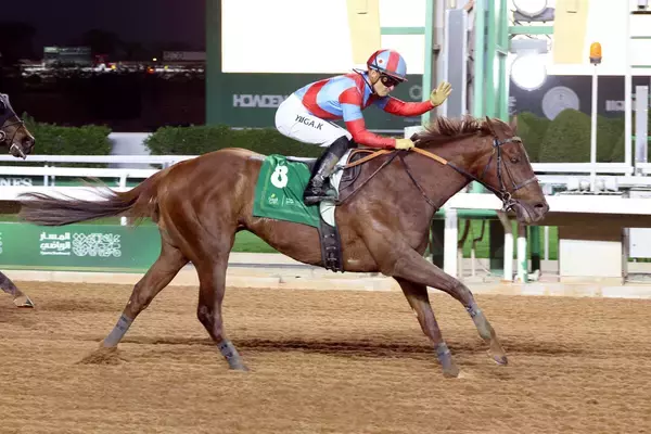 国内外で砂重賞５勝のリメイクが引退　ノースヒルズで種牡馬に