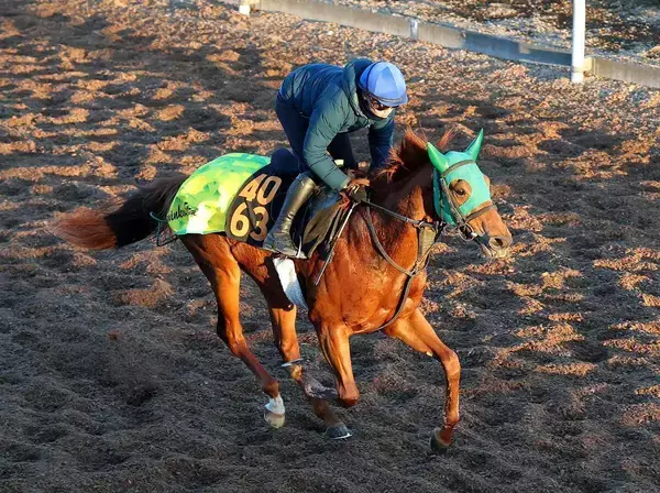 「駄目だったか」「非当選！ガーン」ロイヤルファミリー役が出馬登録でまさかの除外にＳＮＳ落胆