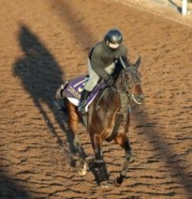 【有馬記念】コスモキュランダが中山で巻き返し狙う　加藤士調教師「中山が見ていて一番面白い」