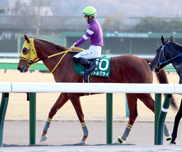 【根岸Ｓ】３連単１６６万円超の立役者１３番人気バトルクライが激走２着　原優介騎手「復活してきたのでは」