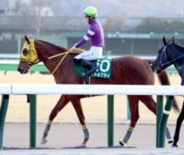 【根岸Ｓ】３連単１６６万円超の立役者１３番人気バトルクライが激走２着　原優介騎手「復活してきたのでは」