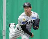「【阪神】最速１６１キロ右腕の工藤泰成、沖縄春季キャンプで主力組の宜野座組に再合流」の画像1