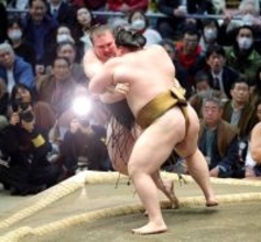 【元大関・琴風の目】綱取り場所で３敗目　安青錦は形にこだわり過ぎた　いつもより遅い攻めは重圧を感じている証拠