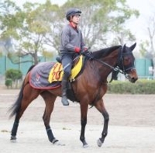 【注目馬動向】プロミストジーンはマーチＳを回避し地方交流重賞へ　鞍上は引き続き武豊騎手を予定