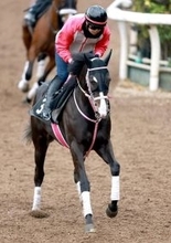 【ニュージーランドＴ】マイルで連対率１００％のレザベーション　松下調教師「今回もスタートを決めてほしい」