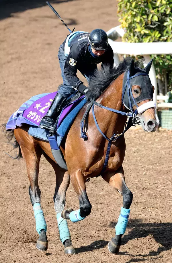 【Ｇ１・１週前まとめ】昨年の最優秀２歳牡馬カヴァレリッツォ、Ｇ１連勝へ気合注入！吉岡調教師「最後まで良かった。いい感じで終われました」　皐月賞