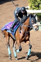 【Ｇ１・１週前まとめ】昨年の最優秀２歳牡馬カヴァレリッツォ、Ｇ１連勝へ気合注入！吉岡調教師「最後まで良かった。いい感じで終われました」　皐月賞