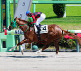 「【中山６Ｒ】ホリエモンの愛馬イッテラッシャイが８馬身差の大楽勝　戸崎圭太騎手「今後は自分のリズムで…」」の画像1