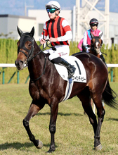 【関ケ原Ｓ・金曜気配】前走３着のウインデイジーは角馬場で調整　宮調教師「このクラスでやれていいし、具合もいい」