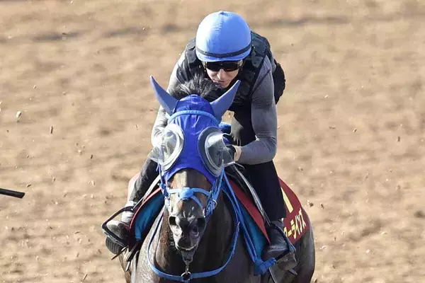 【注目馬動向】秋初戦の毎日王冠を見送り　オークス３着馬ラフターラインズは右前脚のひづめに熱感を確認