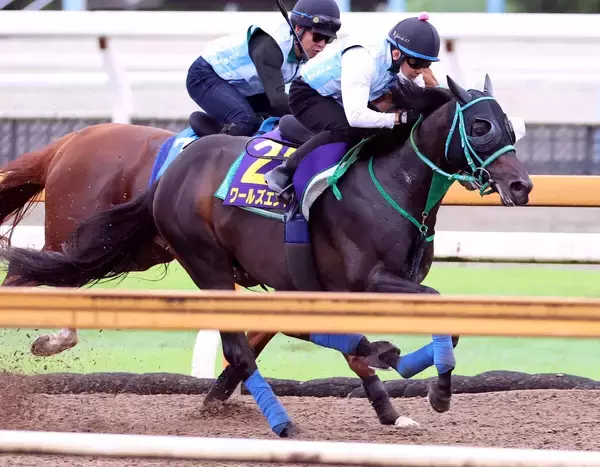 【スプリンターズＳ・１週前】安田記念２着のワールズエンドが自己新の抜群の動き　池添調教師「時計も動きも良かった」